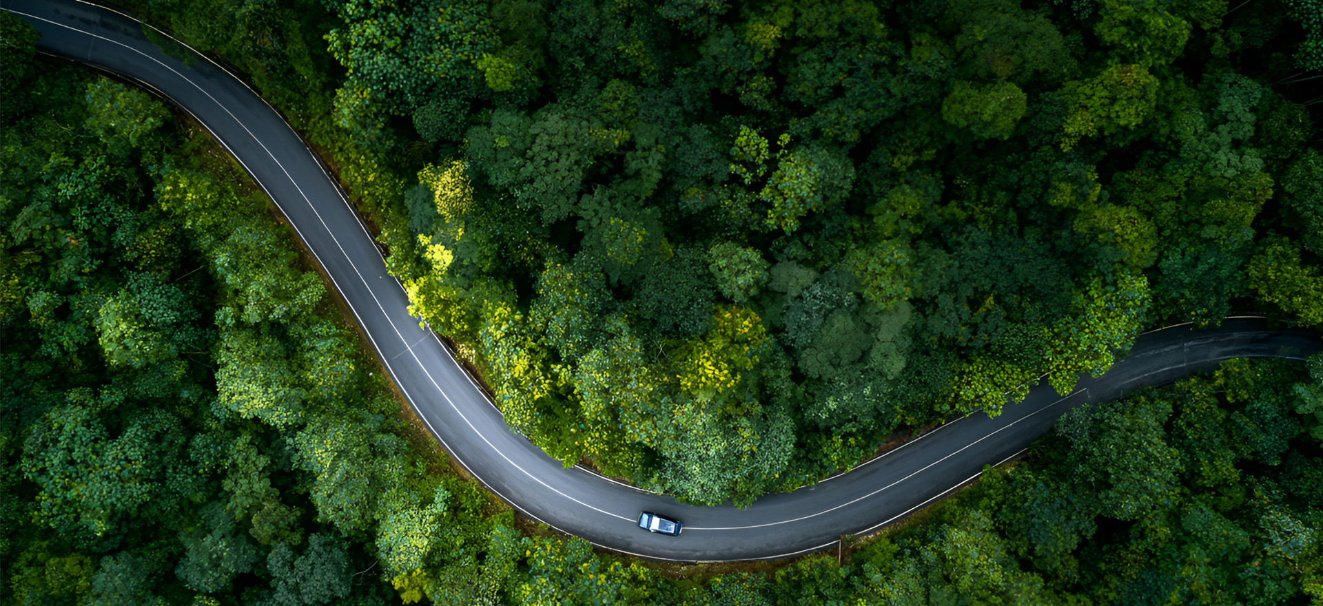 以科技赋能绿色能用 以服务连接全球市场